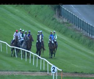 Video preview image for Down Royal 19:40 - Tayto Group Ltd. Mares I.N.H. Flat