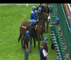 Video preview image for Galway 14:30 - Betway Maiden