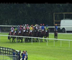 Video preview image for Galway 14:45 - Kenny Galway Handicap Hurdle