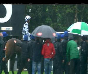 Video preview image for Galway 14:50 - Rockshore Handicap