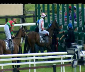 Video preview image for Galway 15:20 - Foran Equine Irish European Breeders Fund Auction Maiden