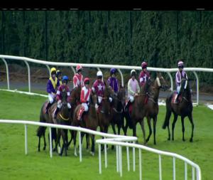 Video preview image for Galway 16:30 - Scl Sales Chase