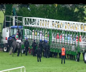 Video preview image for Galway 17:15 - Open Gate Pure Brew Handicap 