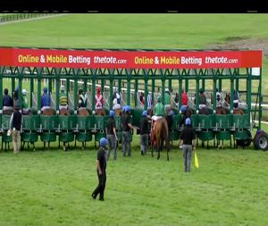 Video preview image for Galway 17:30 - Jpk Fencing Handicap