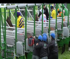 Video preview image for Galway 18:45 - Win Big With Tote (Q.R.) Maiden