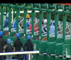 Video preview image for Gowran Park 18:40 - Irish Stallion Farms European Breeders Fund Fillies Handicap