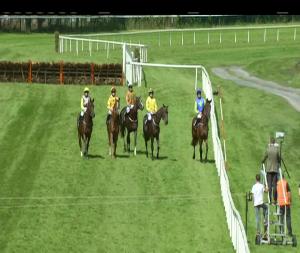 Video preview image for Killarney 14:00 - Irish Stallion Farms European Breeders Fund Novice Hurdle 