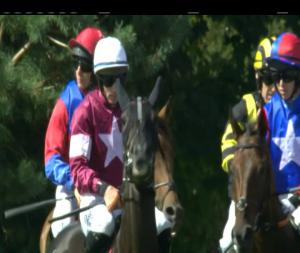 Video preview image for Killarney 15:10 - Great Southern Hotel Beginners Chase 