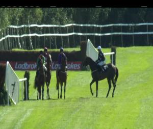 Video preview image for Killarney 15:45 - Irish Examiner Novice Chase