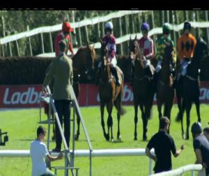 Video preview image for Killarney 16:20 - Msl Cork Mercedes-Benz Handicap Chase (Grade B)