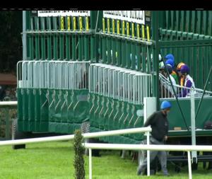 Video preview image for Killarney 17:00 - International Hotel Killarney Handicap