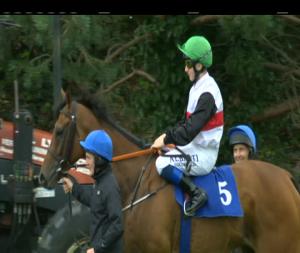 Video preview image for Killarney 17:20 - John J. Galvin & Son Limited Rated