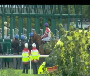 Video preview image for Killarney 17:30 - K.W.D. Kingdom Gold Cup (Premier Handicap)