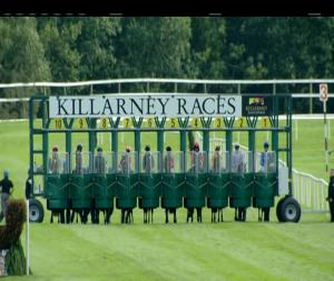 Video preview image for Killarney 17:55 - Irish European Breeders Fund Supporting Irish Champions Weekend Fillies Maiden 