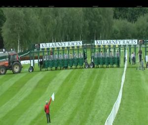 Video preview image for Killarney 18:30 - Plaza Hotel Handicap 