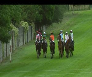 Video preview image for Killarney 20:00 - Killarney Oaks Hotel Beginners Chase 