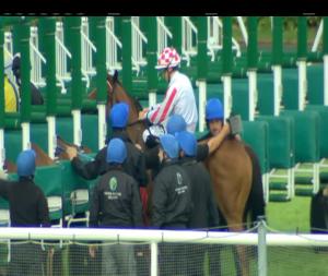 Video preview image for Leopardstown 17:45 - idealgraphix.ie Handicap