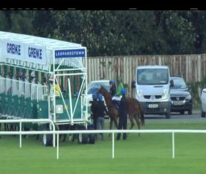 Video preview image for Leopardstown 18:30 - Irish Stallion Farms European Breeders Fund Maiden