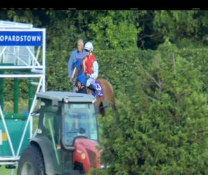 Video preview image for Leopardstown 19:00 - Smokie Handicap