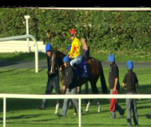 Video preview image for Leopardstown 19:35 - Grant Thornton Rated