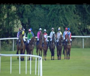 Video preview image for Roscommon 17:30 - Irish Stallion Farms European Breeders Fund Mares Beginners Chase