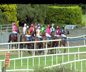 Video preview image for Roscommon 19:05 - Railway Bar 3-y-o Maiden Hurdle