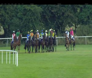Video preview image for Roscommon 19:35 - Paul Byron Shoes Maiden Hurdle