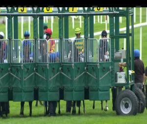 Video preview image for Roscommon 19:50 - Pyramid Bookmakers Handicap 