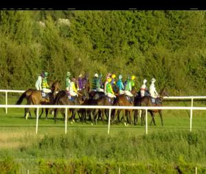 Video preview image for Roscommon 20:10 - Class Grass Handicap Hurdle
