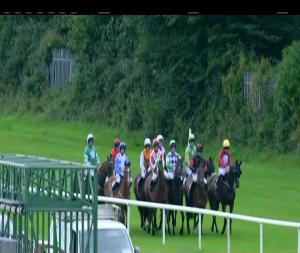 Video preview image for Sligo 18:10 - Carlsberg Maiden Hurdle 