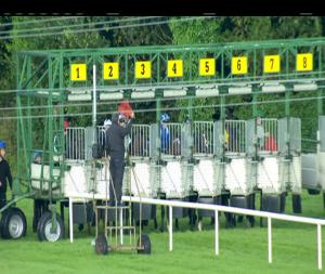 Video preview image for Sligo 19:00 - Diageo Day 21st August At Sligo Races Handicap