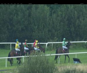 Video preview image for Sligo 19:45 - Student Day 27th September Maiden Hurdle