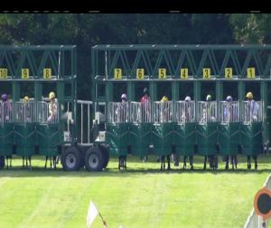 Video preview image for Tipperary 17:05 - Foran Equine Irish European Breeders Fund Auction Maiden