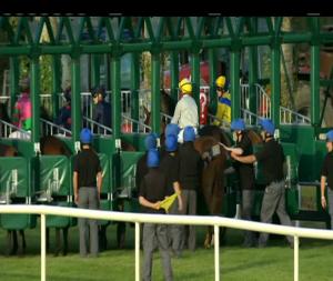 Video preview image for Tipperary 19:45 - www.tipperaryraces.ie Fillies Maiden