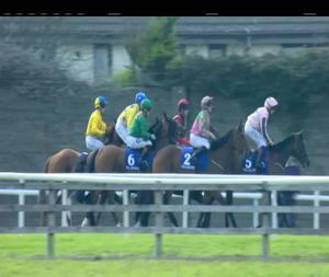 Video preview image for Tramore 16:20 - Ashtown House Stud Irish European Breeders Fund Fillies Maiden 
