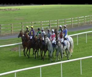 Video preview image for Tramore 17:25 - three.ie Rated Novice Chase