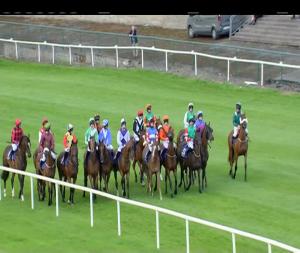 Video preview image for Tramore 19:35 - O'Neills Bar Handicap Hurdle 