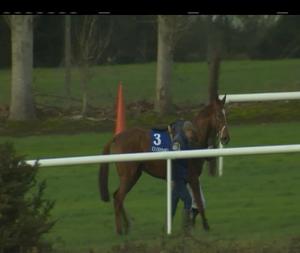 Video preview image for Clonmel 14:35 - Clonmel Racecourse Supporters Club Only €90 Beginners Chase