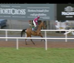 Video preview image for Down Royal 14:15 - Silks Maiden Hurdle 