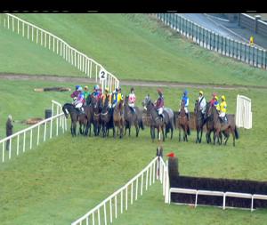 Video preview image for Down Royal 14:50 - Adare Manor Opportunity Handicap Hurdle 