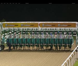 Video preview image for Dundalk 17:30 - www.dundalkstadium.com Maiden 