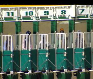 Video preview image for Dundalk 17:45 - Christmas Party Packages Handicap (Div 2)