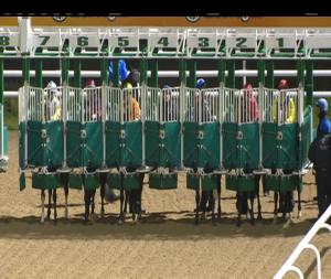 Video preview image for Dundalk 18:00 - Christmas Party Nights At Dundalk Stadium Handicap