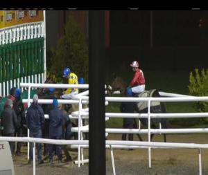 Video preview image for Dundalk 18:00 - Irish Stallion Farms European Breeders Fund Fillies Maiden