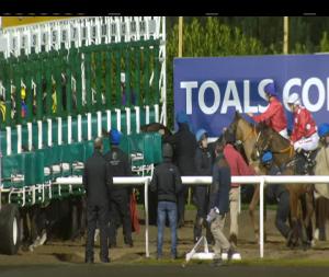 Video preview image for Dundalk 18:00 - Irish Stallion Farms European Breeders Fund Maiden