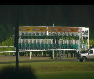 Video preview image for Dundalk 19:00 - irishinjuredjockeys.com Handicap