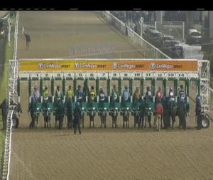 Video preview image for Dundalk 19:00 - Christmas Party Nights At Dundalk Stadium Maiden