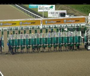 Video preview image for Dundalk 19:30 - Winter Series At Dundalk 2018 Handicap 