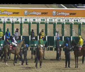 Video preview image for Dundalk 20:00 - Crowne Plaza Leading Jockey & Trainer Championship Handicap (Div 2)