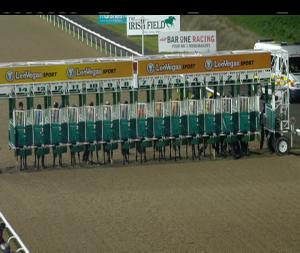 Video preview image for Dundalk 20:30 - Dundalk Stadium - Light Up Your Night Handicap (Div 1)